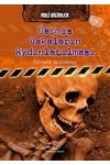 Geçmiş Vakaların Aydınlatılması kapağı