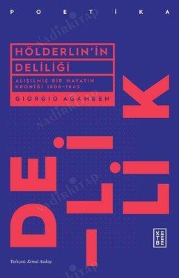 Hölderlin'in Deliliği kapağı