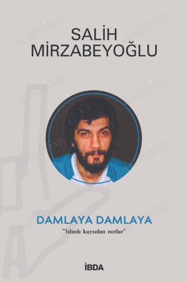 DAMLAYA DAMLAYA / Yılanlı Kuyudan Notlar kapağı