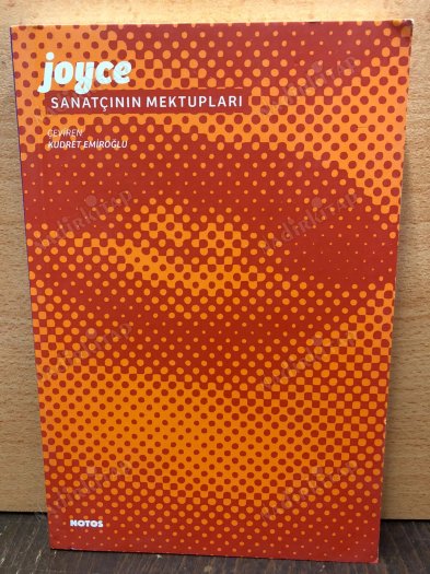 SANATÇININ MEKTUPLARI kapağı
