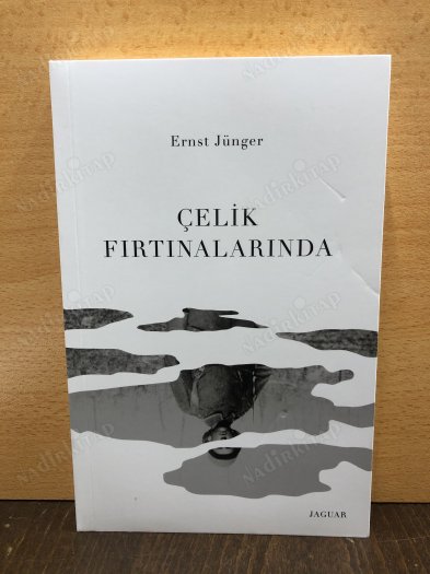 Çelik Fırtınalarında kapağı
