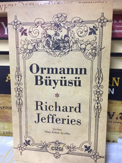 Ormanın Büyüsü kapağı