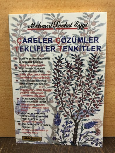 ÇARELER VE ÇÖZÜMLER TEKLİFLER TENKİTLER kapağı