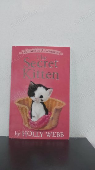 The Secret Kitten kapağı