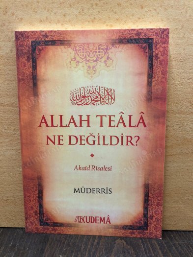 Allah Teala Ne Değildir? kapağı