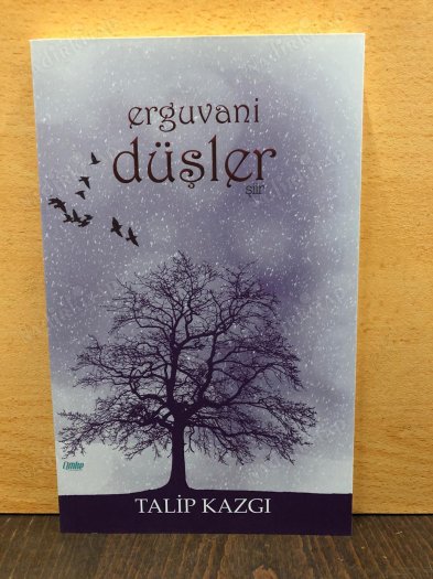 Erguvani Düşler kapağı