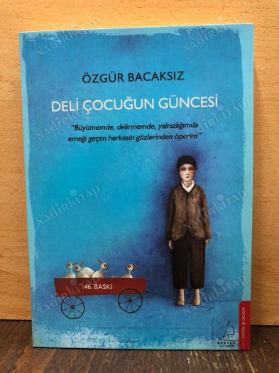 Deli Çocuğun Güncesi kapağı