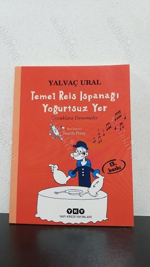 TEMEL REİS ISPANAĞI YOĞURTSUZ YER kapağı