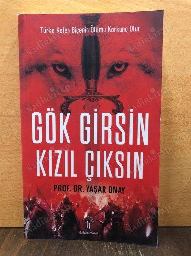 GÖK GİRSİN KIZIL ÇIKSIN kapağı