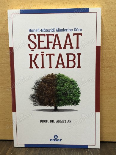 Hanefi Maturidi Alimlerine Göre Şefaat Kitabı kapağı