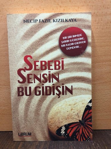 SEBEBİ SENSİN BU GİDİŞİN kapağı