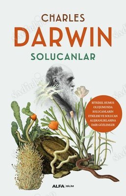 Solucanlar / Bitkisel Humus Oluşumunda Solucanların Etkileri ve Solucan Alışkanlıklarına Dair Gözlemler kapağı
