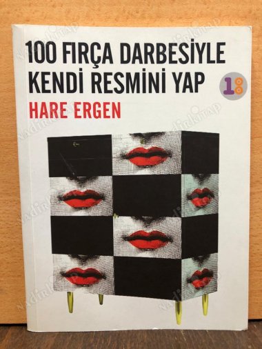100 Fırça Darbesiyle Kendi Resmini Yap kapağı