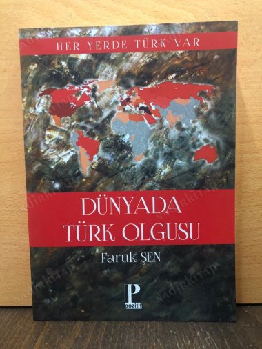 Her Yerde Türk Var / Dünyada Türk Olgusu kapağı