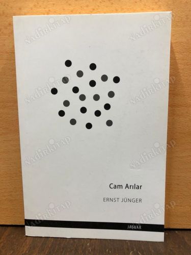 Cam Arılar kapağı