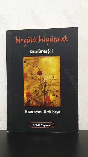 BİR GÜLÜ BÜYÜTMEK - KEMAL BURKAY ŞİİRİ kapağı