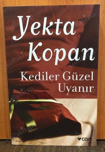 Kediler Güzel Uyanır kapağı