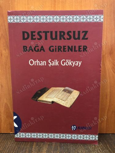 DESTURSUZ BAĞA GİRENLER kapağı